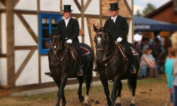 19. Countryfest in Daubitz